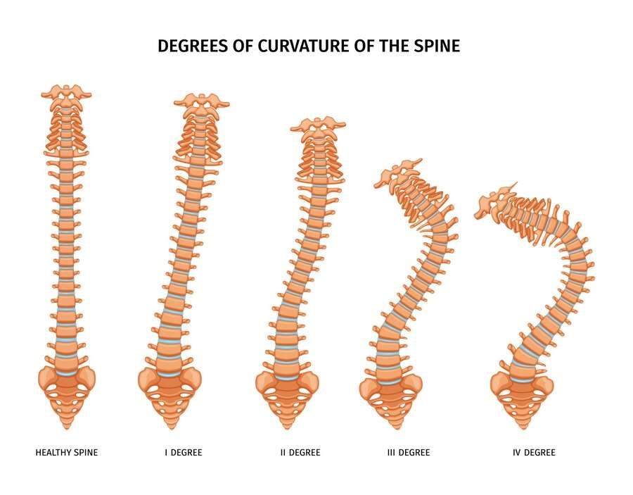 Spinal Function